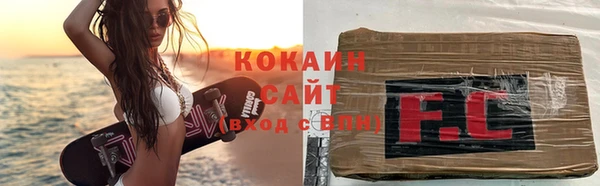 ешки Алексин