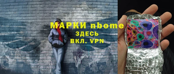 ешки Алексин