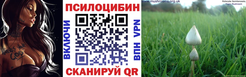 Псилоцибиновые грибы прущие грибы закладка Нижние Серги